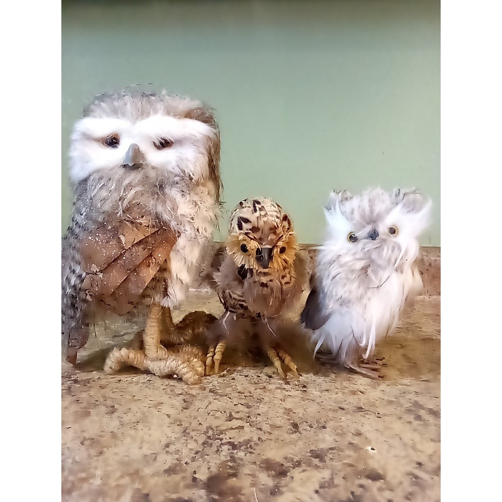 David Christopher Owl Assortment Decor